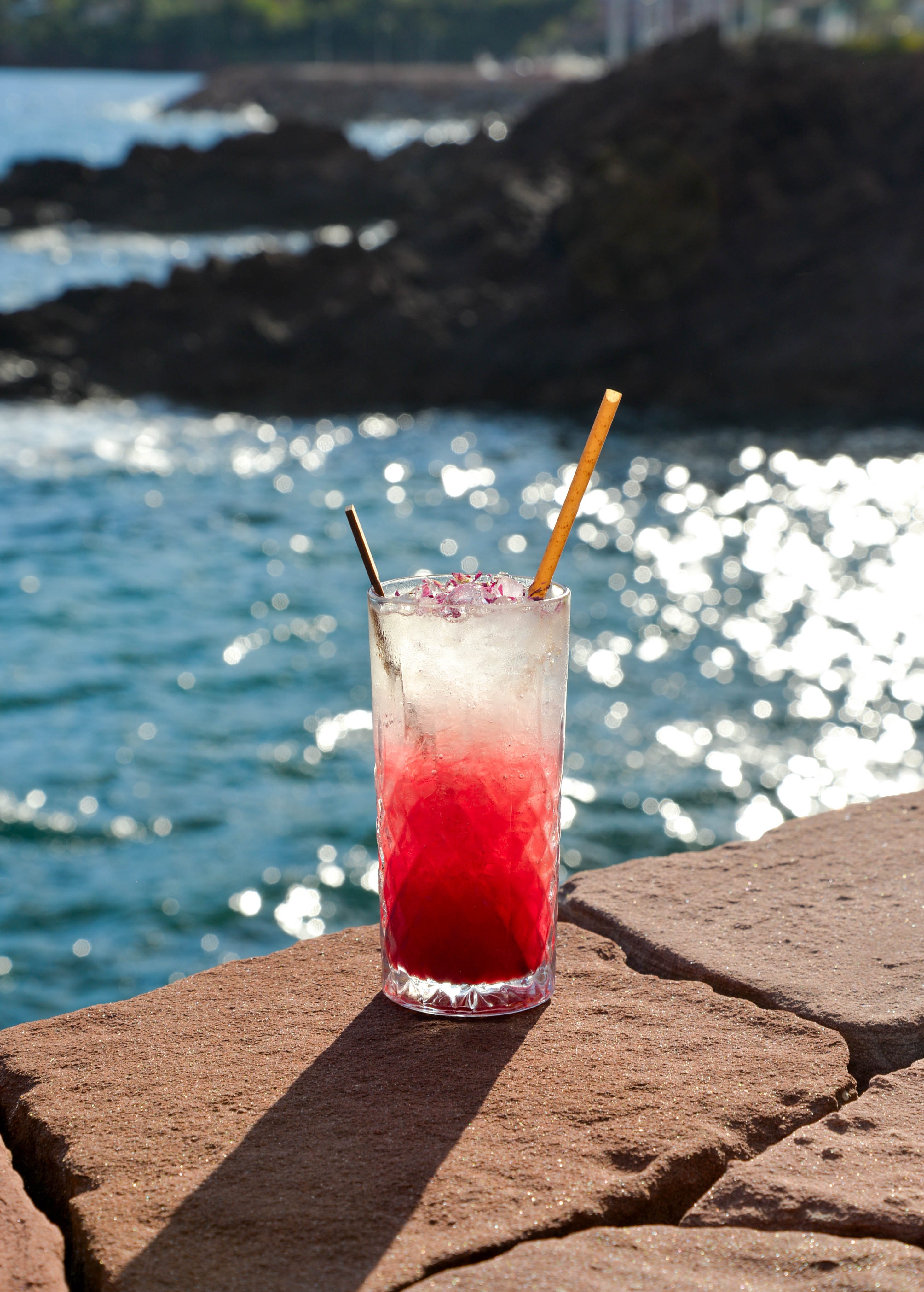 Rose Éclat – pour Octobre Rose