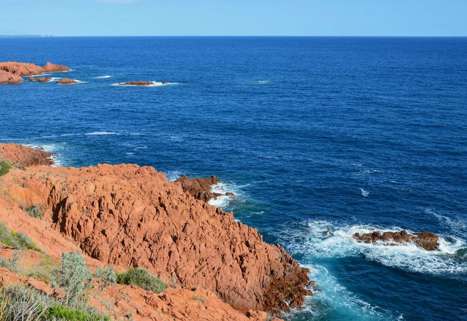 Spring Wellness Program